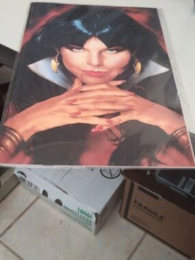 Vampriella  Comic Book - Unbranded